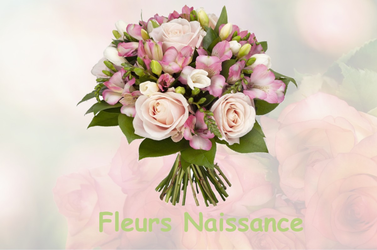 fleurs naissance SAINT-SULPICE-DE-COGNAC